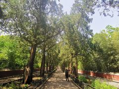 -国家植物园南园