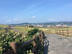 -涉地可支