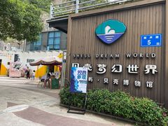 -贝壳梦幻世界