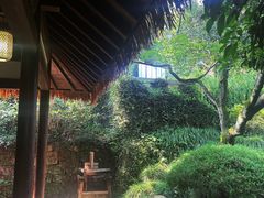 -中国茶叶博物馆(双峰馆区)