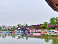 -菊园百果园