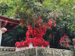 -鼎湖山风景区