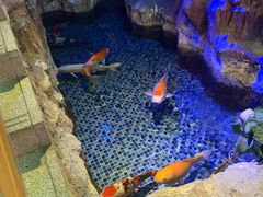 -沐熙汤泉(新安里店)