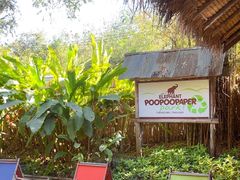 -大象粑粑造纸公园