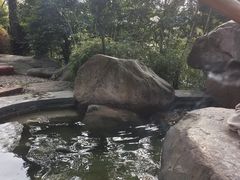 -唐风温泉