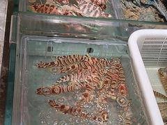 -阿伟海鲜楼·福建菜(延寿店)