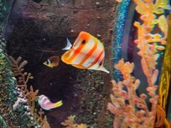 -沈阳海洋探索中心