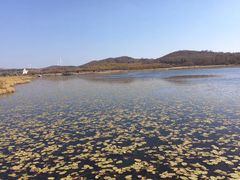 -塞罕坝国家级自然保护区