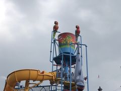 -苏州乐园森林水世界