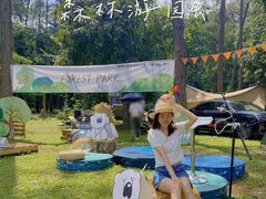 -南宁良凤江国家森林公园