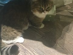 -小时光咖啡馆(开森度假森林店)