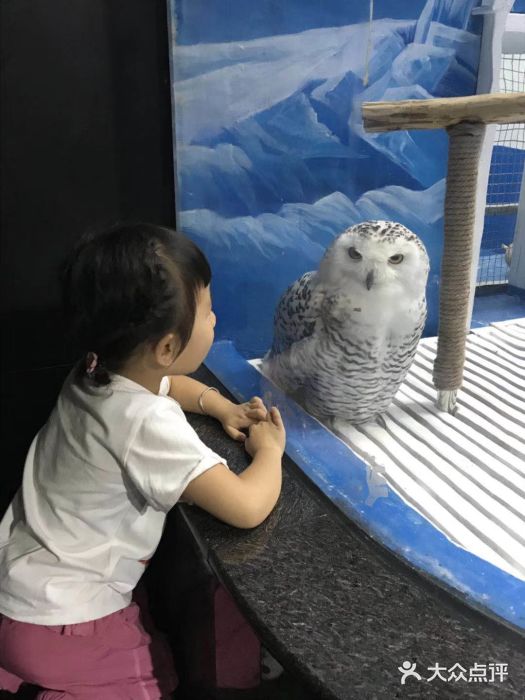 成都浩海立方海洋公园图片