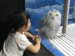 -成都浩海立方海洋公园