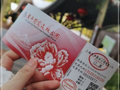 -东平国家森林公园