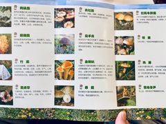 -太婆天府山珍酒楼(亚运村店)
