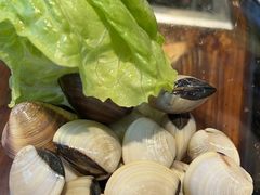 -御膳粥·牛乳粥底火锅·地道顺德菜(容桂店)