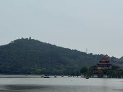 -顺峰山公园