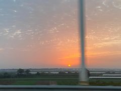 -秋林食街(友谊路店)