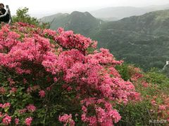 -木兰云雾山