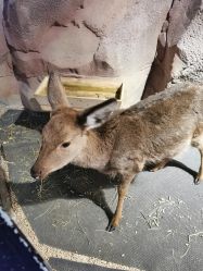 -酷嗒动物文化乐园(cutezoo西溪乐天城店)