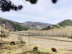 -五台山风景名胜区