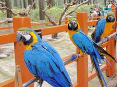 -北京野生动物园