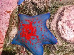 -沈阳海洋探索中心