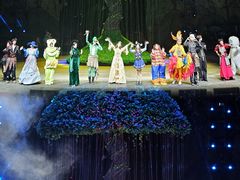 -灵玲国际马戏城