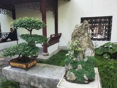 -上海醉白池公园