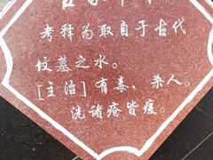 -广西壮族自治区药用植物园