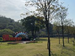 -野狸岛