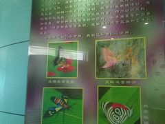 -上海昆虫博物馆