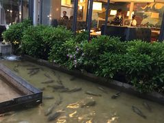 -大理老字号·舟渔的鱼野生菌海景餐厅(双廊店)