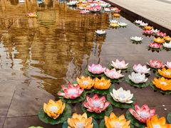 -西双版纳勐泐文化旅游区