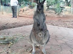 -费瑟代尔野生动物园