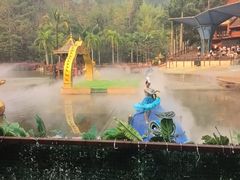 -西双版纳原始森林公园