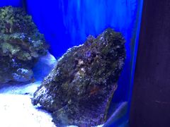 -多彩贵州城极地海洋世界