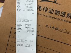 -伟伟宠物医院·瑞派猫友好医院·猫科(光谷店)