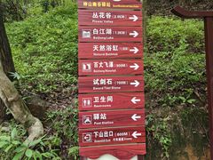 -广州白江湖森林公园