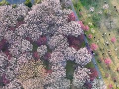 -蜀冈西峰生态公园