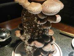 -先机®·泉水鸡汤(七星岗店)