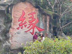 -杭州黄龙洞