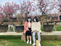 -秀丽东方