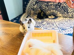 -藦茜花园宠物主题亲子互动体验馆(国顺东路店)