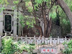 -蝴蝶泉公园