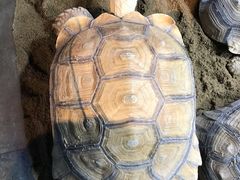 -太奥幻太奇海洋馆