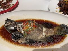 -宝轩渔府·老字号海鲜·正宗津菜(水上店)