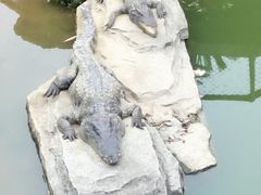 -南昌动物园