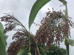 -广富林郊野公园