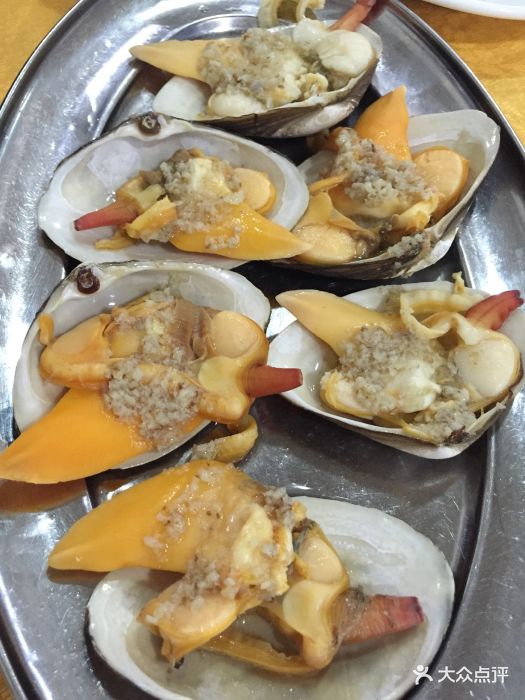 蚝专家黄油贝图片 - 第3张